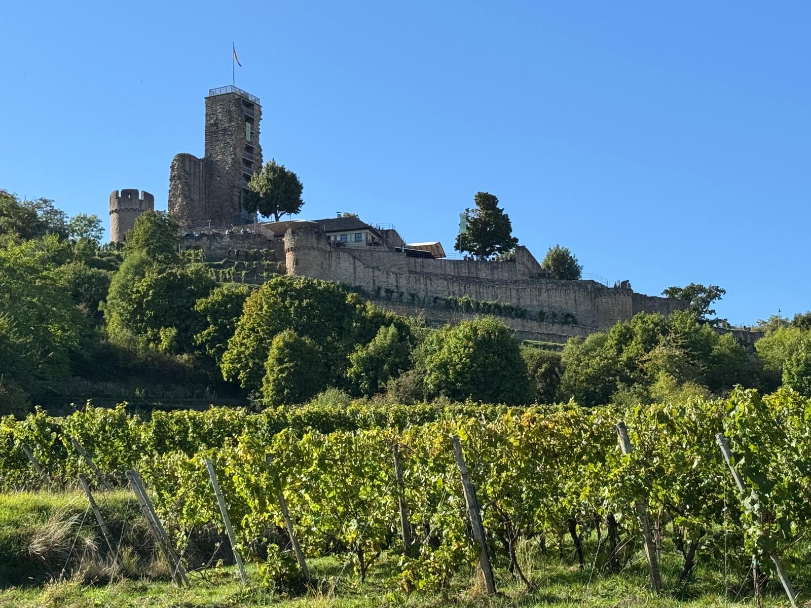 Wachtenburg